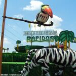 Rapidos - Jungla Encantada