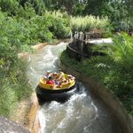 Rápidos del Orinoco