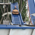 Wild Water Log Flume