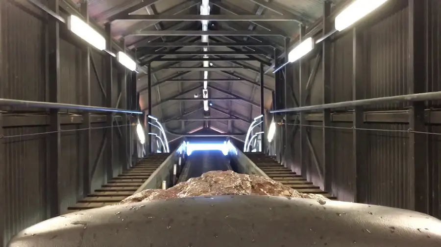Video of this ride