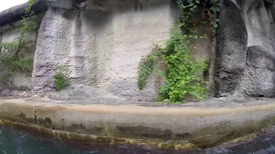 Video of this ride